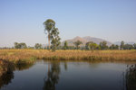 IMG_2831_resize