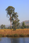 IMG_2833_resize