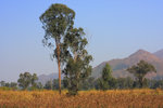 IMG_2835_resize