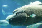 IMG_5476_resize