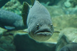 IMG_5479_resize