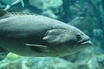 IMG_5487_resize