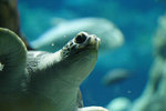 IMG_5494_resize