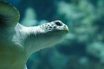 IMG_5496_resize