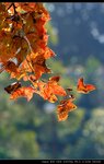 IMG_9554_resize_nEO_IMG