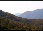 IMG_9572_resize_nEO_IMG