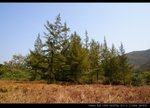 IMG_9586_resize_nEO_IMG