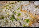IMG_9593_resize_nEO_IMG
