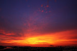 IMG_0401_resize