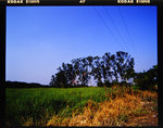 IMG_5399_resize