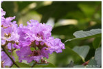 IMG_2173_resize