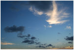 IMG_8656_resize