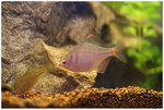 IMG_8481_resize