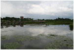 IMG_8502_resize