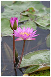 IMG_8507_resize