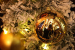 IMG_2104_resize
