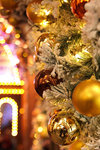 IMG_2116_resize