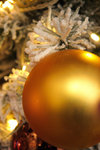 IMG_2124_resize