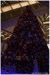 IMG_8822_resize