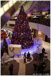IMG_8836_resize