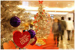 IMG_8893_resize