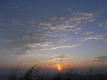 R1026305