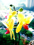 Indoor Beauty 06