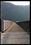 IMG_1649