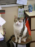 IMG_0331-r