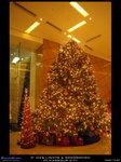 xmas_081229_009