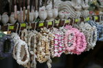 MG_7796-r