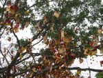 newyear_0255