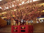 newyear_0261