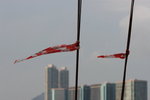 IMG_0516