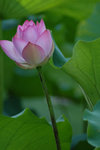 DSC_0029s