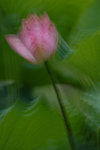 DSC_0035s