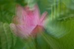 DSC_0038s