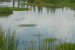 DSC_0057s