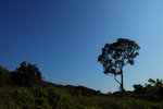 DSC_0102s