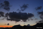 DSC_0295s