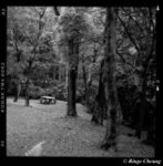 ��������01_BW