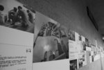 DSC_0158s