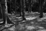 DSC_0281s