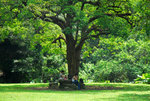 DSC_0326s