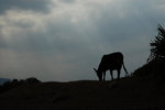 DSC_0137s