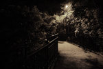 IMG_7094_s