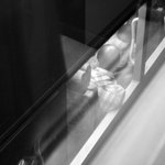 IMG_9653