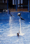 the first of the water works