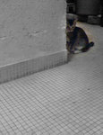 �߿�