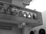 BW15